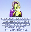 Зустріч Львівського молодіжного православного братства 6 березня 2012 року Божого